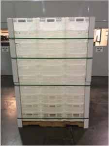 macrotote-5fv-pallet