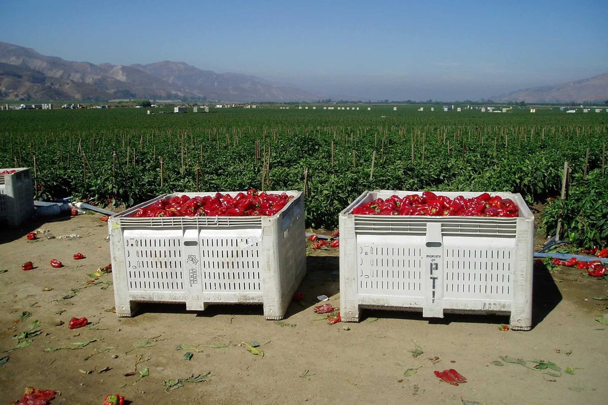 MacroBin 26FV MacroPlastics