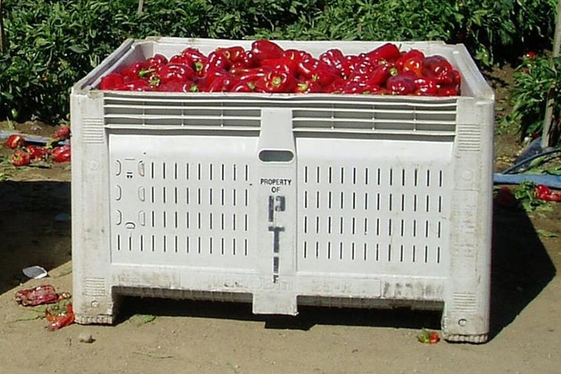 temp-MB-26-images