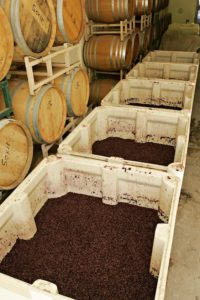 Aplicaciones - Cajones de procesamiento de alimentos con uvas rojas | MacroPlastics