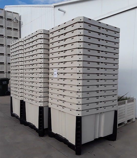 Controlled Atmosphere IPL Macro™