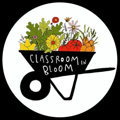 Sustainability & Classroom in Bloom as a Non-Profit Organization